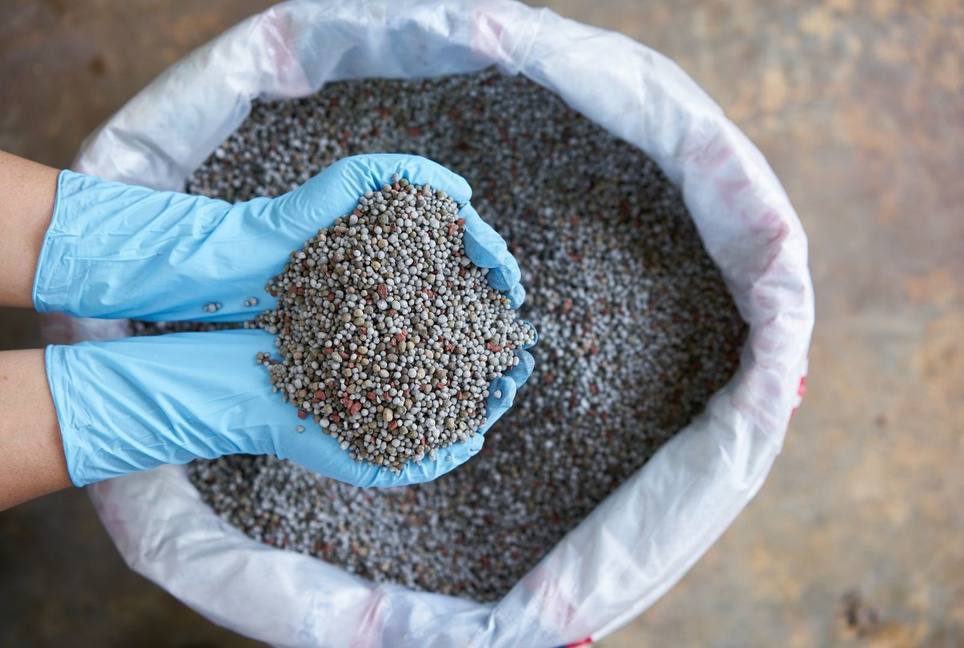 Hands checking a batch of organic soil input granules at source